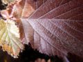 2010 05 24 jeanmarcperfetti.com 029.JPG